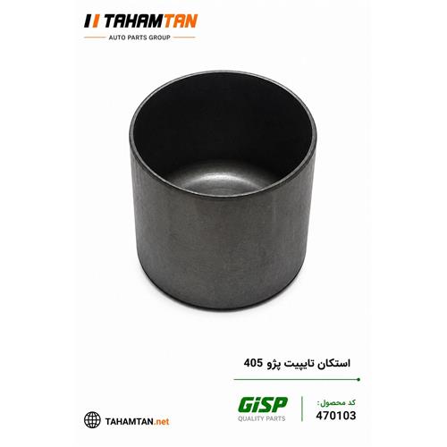 استکان تایپیت پژو 405 - پارس GiSP