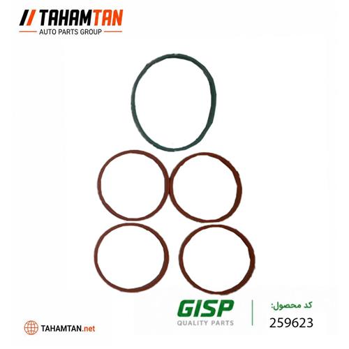 واشر منیفولد هوا (دست کامل) پژو 206 و 207 تیپ 5 و 6 و 405 (SLX) و پارس (TU5) و رانا GiSP