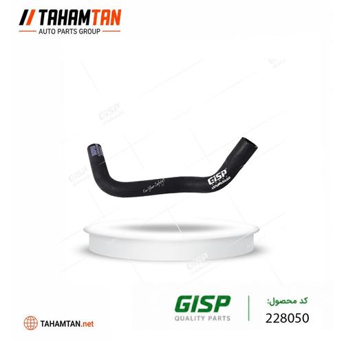 شیلنگ خروجی آب از منبع انبساط پژو 206 تیپ 2 GiSP