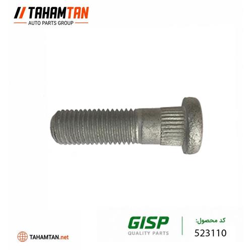 پیچ طبق تیبا GiSP