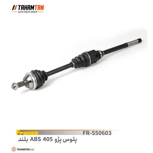 پلوس کامل پژو 405 ABS بلند راست FRANCO